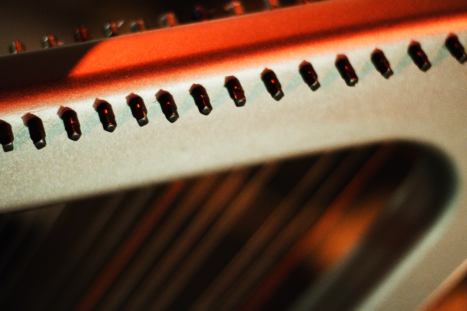 Fotografia di Francesco Nicosia