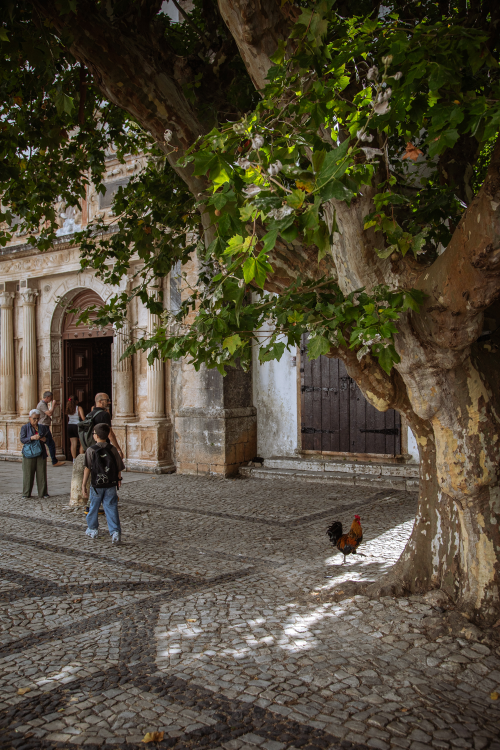 Fotografia di Francesco Nicosia