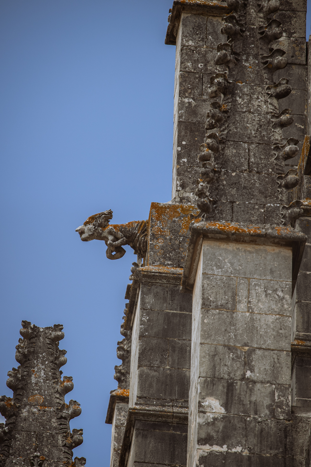 Fotografia di Francesco Nicosia