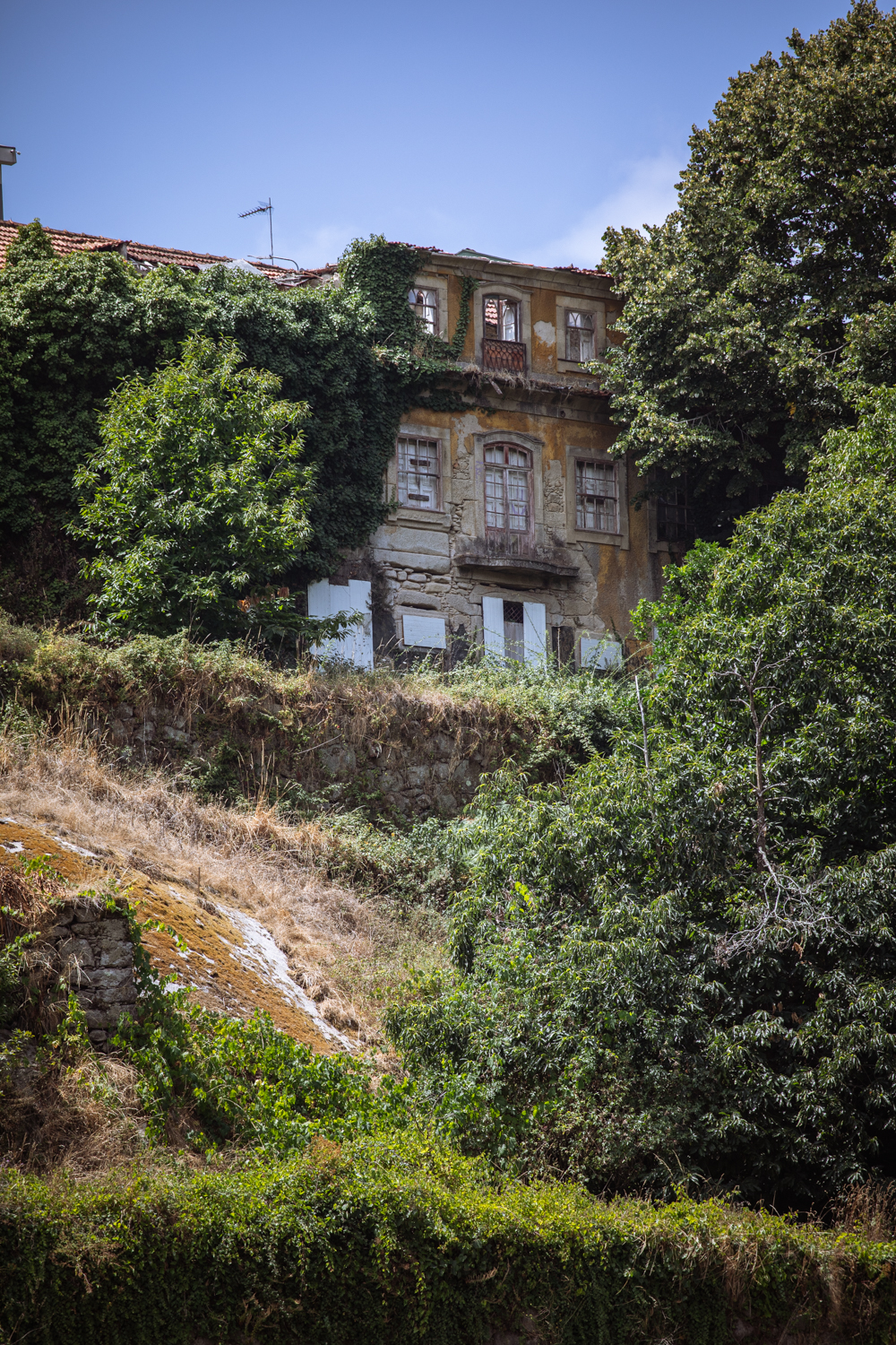 Fotografia di Francesco Nicosia