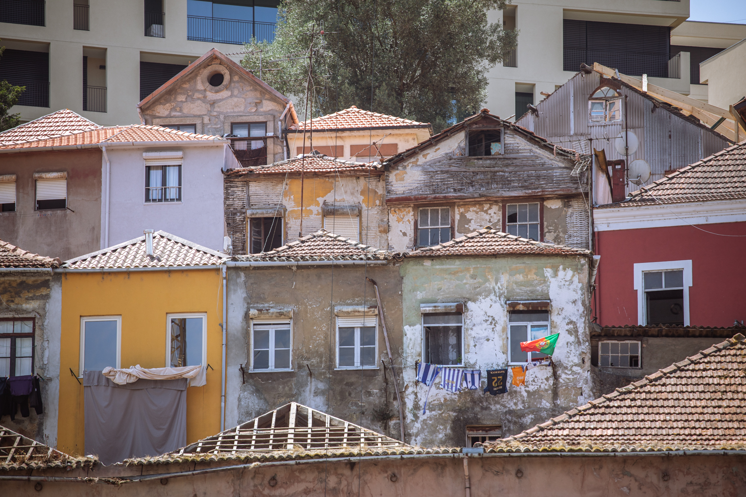 Fotografia di Francesco Nicosia