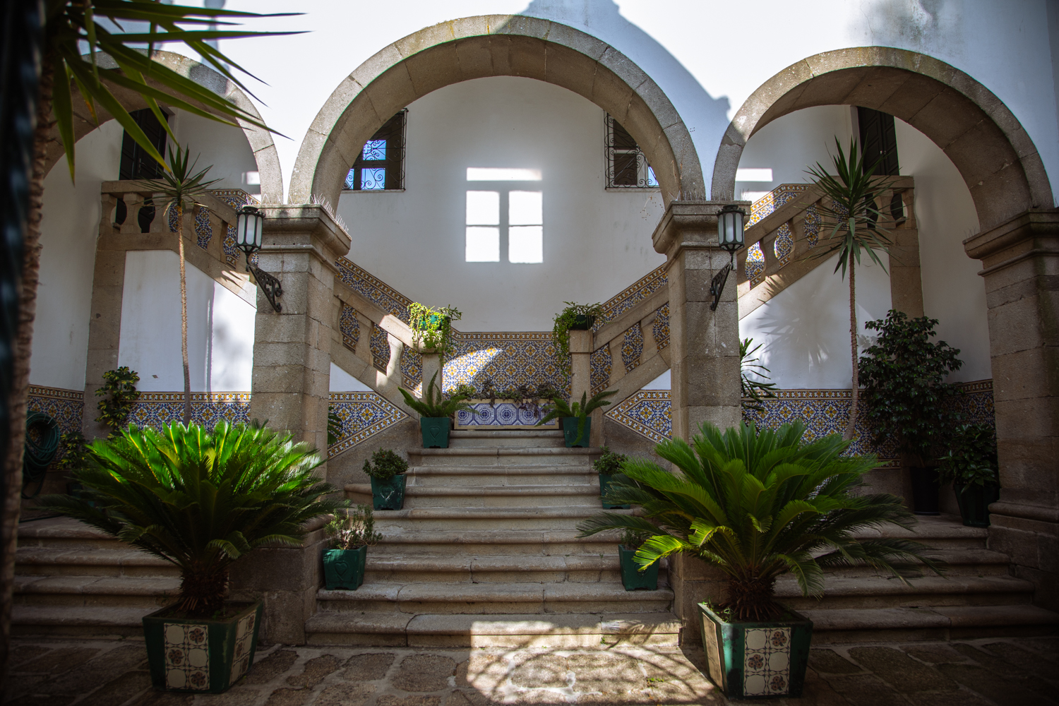 Fotografia di Francesco Nicosia