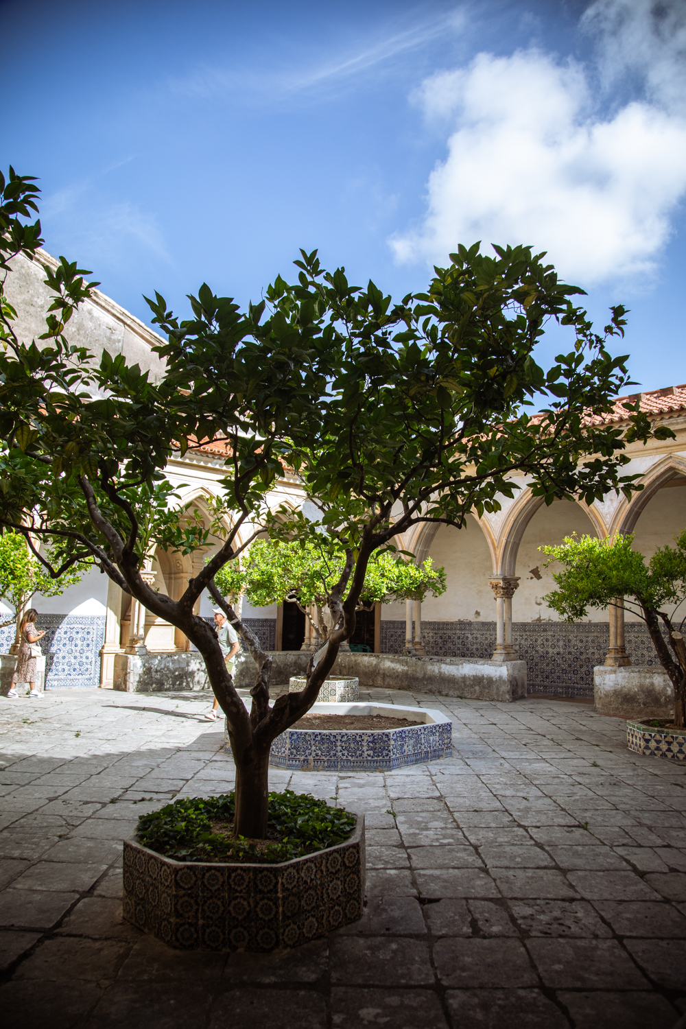 Fotografia di Francesco Nicosia