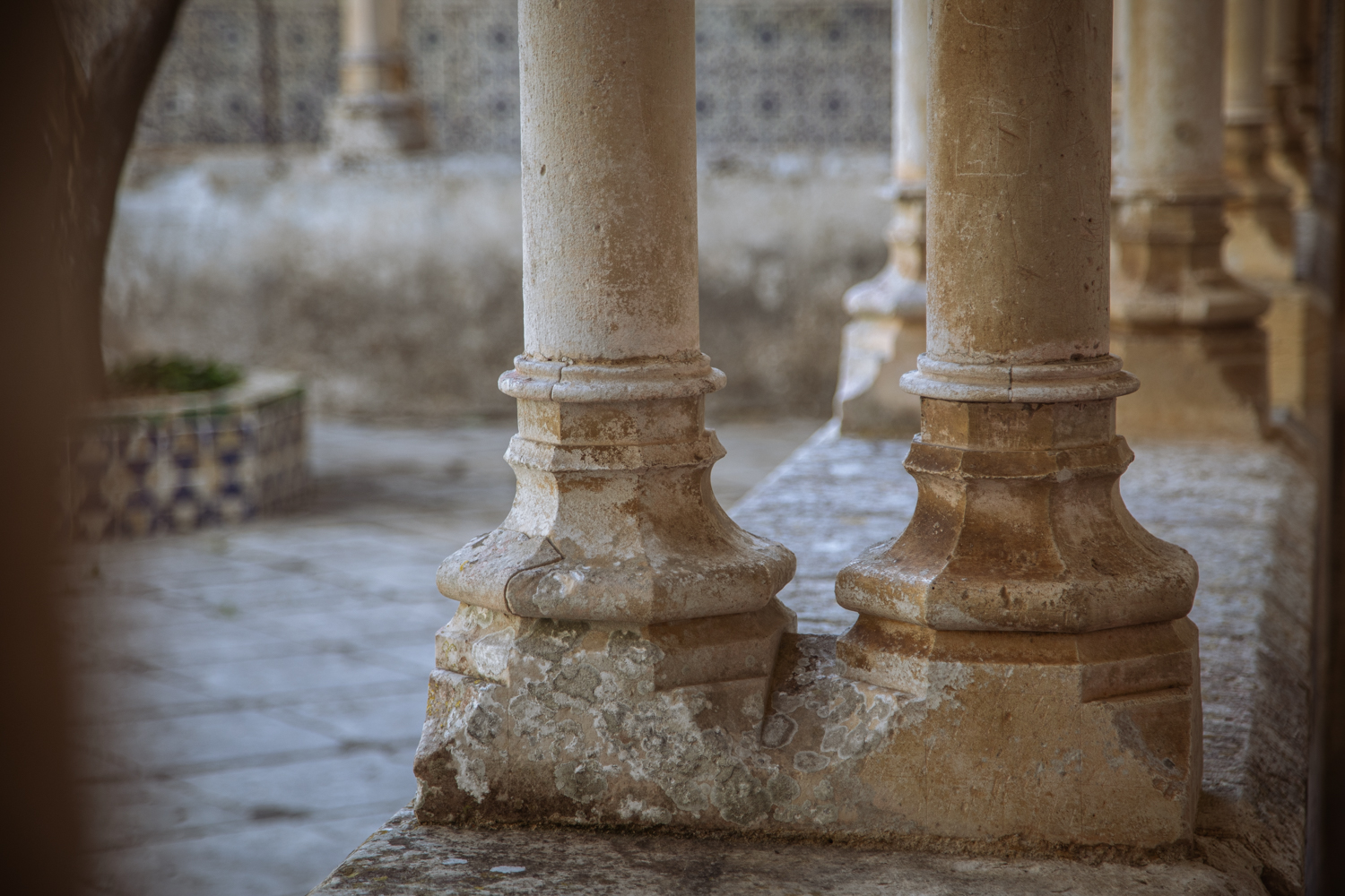 Fotografia di Francesco Nicosia