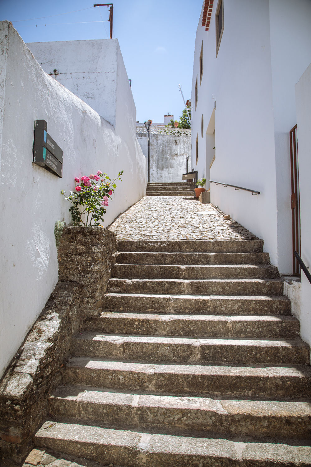 Fotografia di Francesco Nicosia